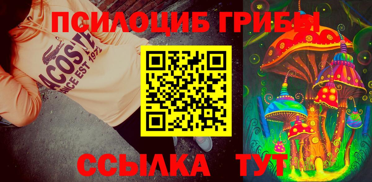 Псилоцибиновые грибы Magic Shrooms  Вход с VPN  Клинцы  Псилоцибиновые грибы Magic Shrooms 