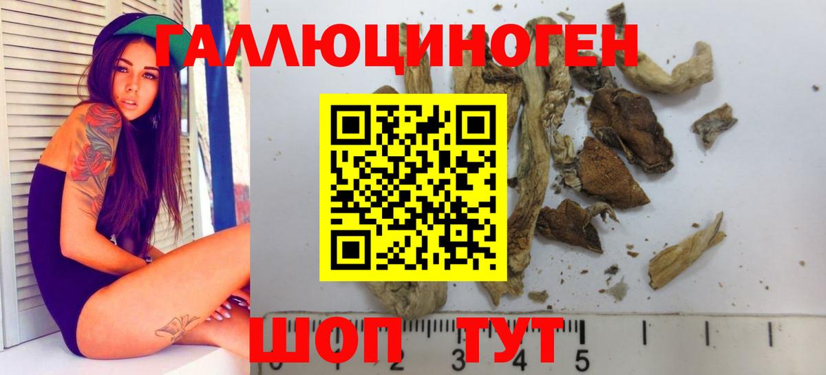 Псилоцибиновые грибы MAGIC MUSHROOMS Клинцы