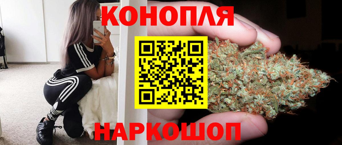 Каннабис OG Kush Клинцы
